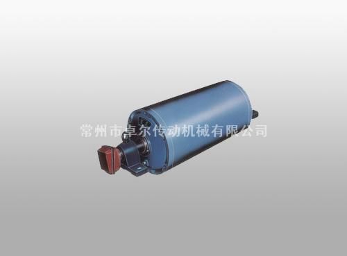 TDY Electric Roller