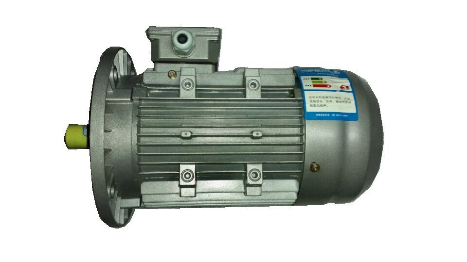 Aluminum Alloy Housing Special Electric Motors Three Phase Asynchronous YS Series